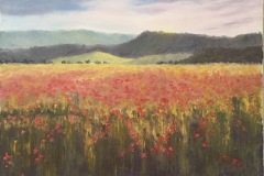 Field of Poppies