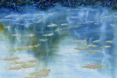Water lilies 